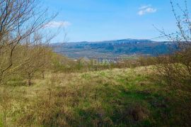 BUZET, ISTRA - Poljoprivredno zemljište, Buzet, Terrain