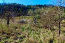 BUZET, ISTRA - Poljoprivredno zemljište, Buzet, Land