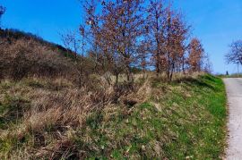 BUZET, ISTRA - Poljoprivredno zemljište, Buzet, Γη