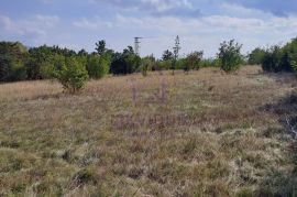 3 Građevinska zemljišta sa ishodovanom građevinskom dozvolom, Lupoglav, Land