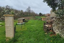 Građevinsko zemljište Prodaje se građevinsko i poljoprivredno zemljiste, blizu Žminja, Žminj, Land