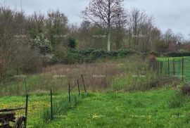 Građevinsko zemljište Prodaje se građevinsko i poljoprivredno zemljiste, blizu Žminja, Žminj, Land