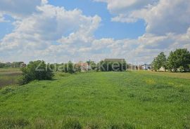 Ugrinovci, centar, parcela 2412m2, Zemun, Land