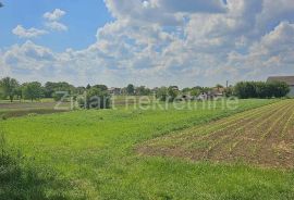 Ugrinovci, centar, parcela 2412m2, Zemun, Land