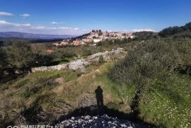 Poljoprivredno zemljište Jelsa 3400m2, Jelsa, Terrain