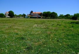 ZADAR, POLJICA - Izvanredno građevinsko zemljište na mirnoj lokaciji, Vrsi, Terreno