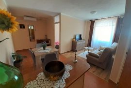 Apartmanska kuća s potencijalom, Buje, Famiglia