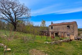 Autohtona istarska kuća s prostranim imanjem od 27806 m2, Labin, Ev