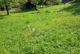 Gorski Kotar, Brod na Kupi, građevinsko zemljište, Delnice, Land