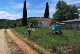 Građevinsko zemljište u srcu Istre, okolica Oprtalj, Oprtalj, Terreno