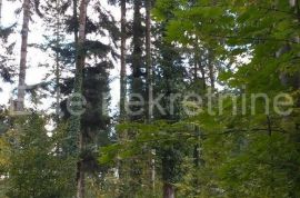 Ravna Gora - prodaja šume, 4550m2, Ravna Gora, Zemljište