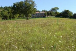 Mješovito zemljište okruženo zelenilom, Motovun, Tierra