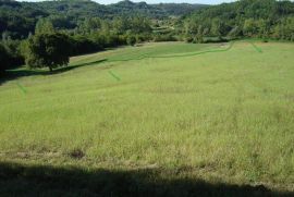 Mješovito zemljište okruženo zelenilom, Motovun, Terra