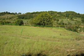 Mješovito zemljište okruženo zelenilom, Motovun, Tierra