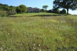 Mješovito zemljište okruženo zelenilom, Motovun, Tierra