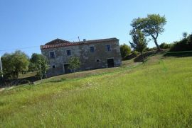 Mješovito zemljište okruženo zelenilom, Motovun, Terrain