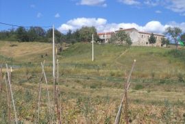 Mješovito zemljište okruženo zelenilom, Motovun, Tierra