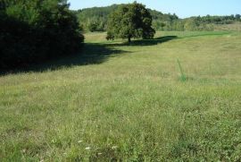 Mješovito zemljište okruženo zelenilom, Motovun, Zemljište