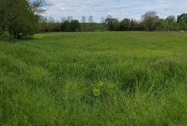 Istra, okolica Tinjana - građevinsko zemljište s projektom za kuću s bazenom, Tinjan, Land