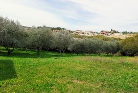 Kuća sa 5 apartmana i predivnim pogledom, Vižinada, Vižinada, Maison