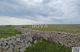 Poljoprivredno zemljište 60 000 m2 – Pag *Lijepa pozicija* (ID-2324), Povljana, Land