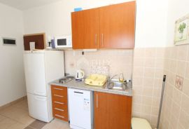 OTOK PAG, MANDRE - Prostrana apartmanska kuća s pogledom na more, Kolan, House