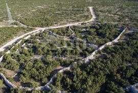 OTOK PAG, STARA NOVALJA - poljoprivredno zemljište na izuzetnoje lokaciji, Novalja, Tierra