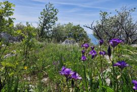 CRIKVENICA - Zemljište za izgradnju fotonaponske elektrane/ sportsko-rekreativnog objekta/ građevina zdravstvenog turizma, Crikvenica, Земля