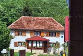 OTOČAC, SINAC - Kamena kuća s prostranim dvorištem, Otočac, Kuća