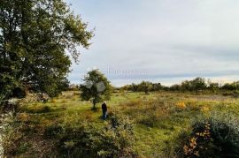 Zemljište s pogledom na Brijune, Vodnjan, Terra