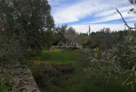 OTOK PAŠMAN, ŽDRELAC - 3000 m2 građevinskog zemljišta blizu mora, Pašman, Zemljište