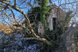 ISTRA, PIĆAN - Građevinsko zemljište sa samostojećom ruševinom i poljoprivrednim zemljištem od 4227 m2, Pićan, Land