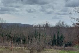 ISTRA, PIĆAN - Građevinsko zemljište sa samostojećom ruševinom i poljoprivrednim zemljištem od 4227 m2, Pićan, Zemljište