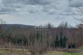 ISTRA, PIĆAN - Građevinsko zemljište sa samostojećom ruševinom i poljoprivrednim zemljištem od 4227 m2, Pićan, Terreno