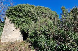 ISTRA, PIĆAN - Građevinsko zemljište sa samostojećom ruševinom i poljoprivrednim zemljištem od 4227 m2, Pićan, Terrain