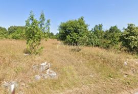 ISTRA, BARBAN - Kompleks građevinskog 600 m2 i poljoprivrednog 10133 m2 na rubu mirnog naselja, Barban, Tierra