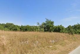 ISTRA, BARBAN - Kompleks građevinskog 600 m2 i poljoprivrednog 10133 m2 na rubu mirnog naselja, Barban, Land