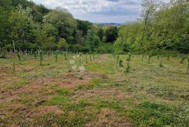 Građevinsko zemljište u Jarkima, Varaždinske Toplice, Terreno