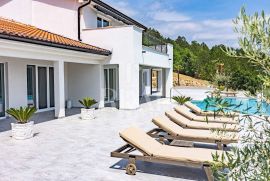 Oaza mira u Istri,Villa sa bazenom,20.000 m2 okućnice, Cerovlje, Haus