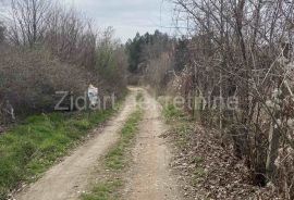 Fruška gora, 2ha 80ari, Irig, Γη