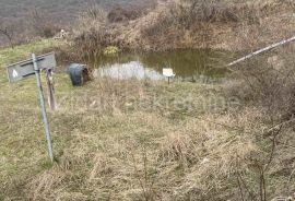 Fruška gora, 2ha 80ari, Irig, Terrain