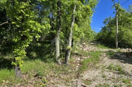 ISTRA, PIĆAN - Građevinsko zemljište pravilnog oblika, Pićan, Arazi