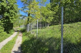 ISTRA, PIĆAN - Građevinsko zemljište pravilnog oblika, Pićan, Land