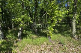 ISTRA, PIĆAN - Građevinsko zemljište na rubu manjeg mjesta, Pićan, Land