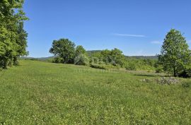 ISTRA, PIĆAN - Zemljište s građevinskom dozvolom i otvorenim pogledom na Učku, Pićan, Land