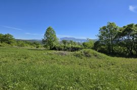 ISTRA, PIĆAN - Zemljište s građevinskom dozvolom i otvorenim pogledom na Učku, Pićan, Земля