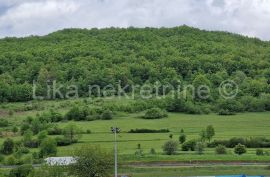 OROVAC ( Otočac ) - poljoprivredno zemljište, oranica, pašnjak, Otočac, Land