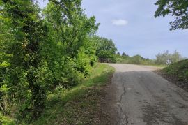 ISTRA - TEREN U GRAĐEVNOJ ZONI, Buzet, Land