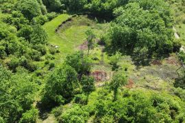 26.000 m2 zemljišta, od čega 5.000 građevinskog, kuća, garaža, Marčana, Land