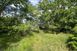 26.000 m2 zemljišta, od čega 5.000 građevinskog, kuća, garaža, Marčana, Land